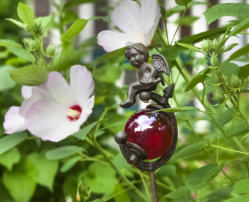 A whimsical cherub shares the garden with a flowering hibiscus at the home of John Richards. BY DENY HOWETH