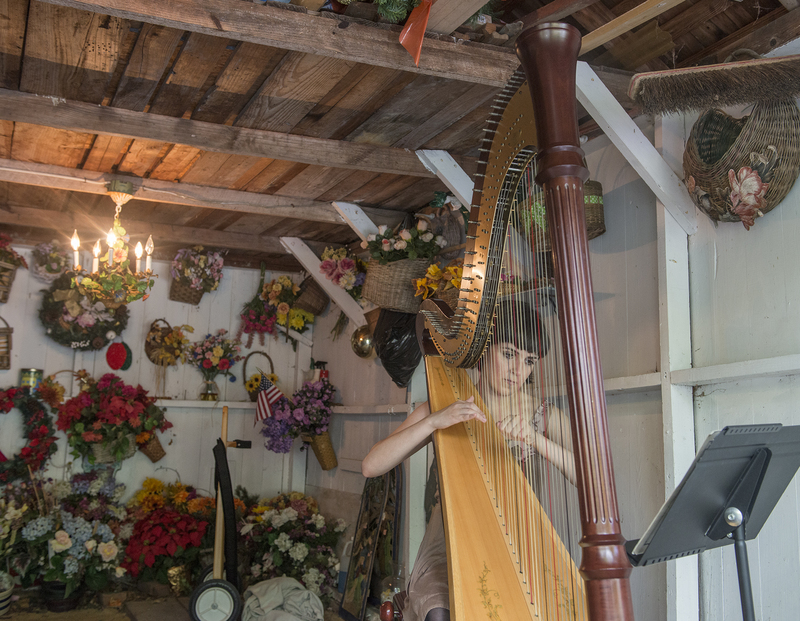 Harpist Harmony Mooney strums tunes during the morning of the garden tour in the whimsical shed at 412 Federal St. BY DENY HOWETH