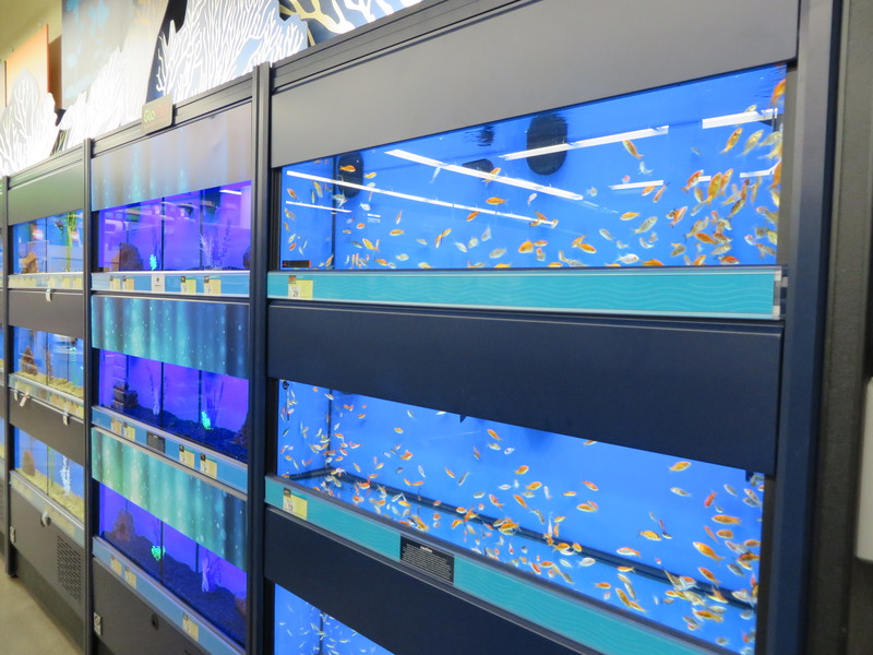 Petco celebrates grand opening Cape Gazette