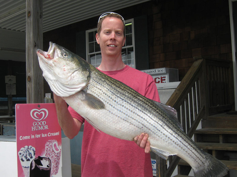 Spring a good time to catch large fish from Delaware beaches