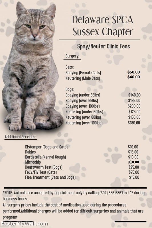 cost to neuter a cat