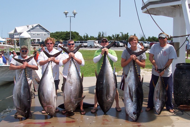 Capt. Charlie Horning on the Fish Whistle had a great overnight trip to the Wilmington Canyon. He trolled horse ballyhoo and brought back a total of five bigeye tuna and two yellowfin tuna. The heaviest bigeye weighed 197 pounds while the heaviest yellowfin weighed 50 pounds. Shown are Billy Gebhart of Lancaster, Pa.; Bill McMahon of Lewes; Bob Dunn of Kensington, Md.; Trent McMahon of Brookville, Md.; and Johnny Horning of Laytonville, Md. SOURCE HOOK EM AND COOK EM