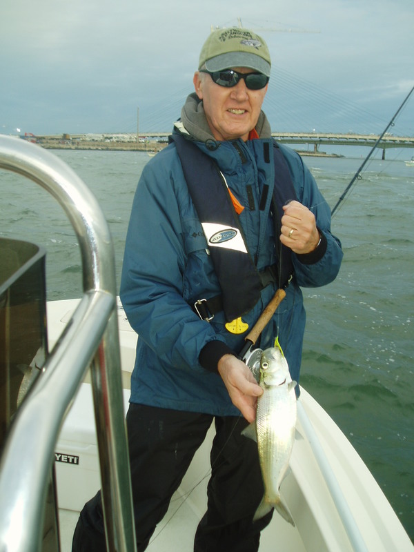 Scientists hope to boost river herring population Cape Gazette