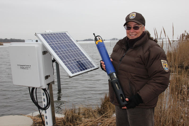 Prime Hook National Wildlife Refuge biologist Annie Larsen stands next to, and holds, some of the solar-powered instruments that monitor everything from water level and temperature to dissolved oxygen and salt levels at the south end of the refuge. "We want to know what we have before we start this big project and see what changes come as a result." Visit the Prime Hook National Wildlife Refuge website and go to the marsh-monitoring section to see real-time data being transmitted by these instruments. BY DENNIS FORNEY