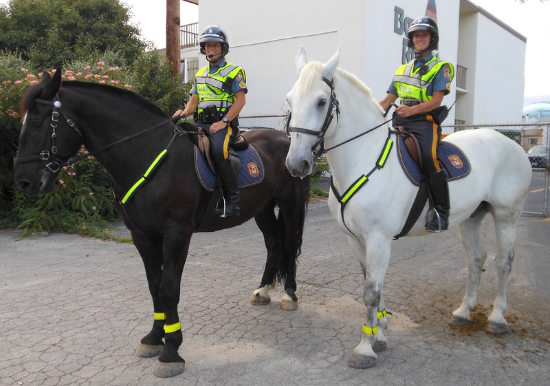 Horseback Riding In Rehoboth Beach Delaware The Best Beaches Horseback Riding In Rehoboth Beach Delaware The Best Beaches