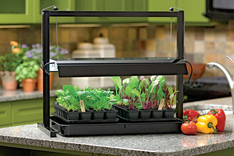 Homegrown Flavor From An Indoor Garden Cape Gazette