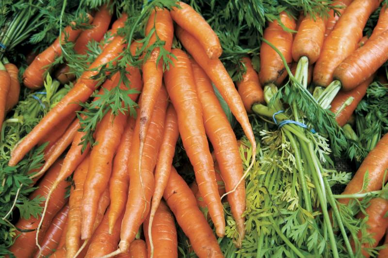 Every garden has a second wind Cape Gazette