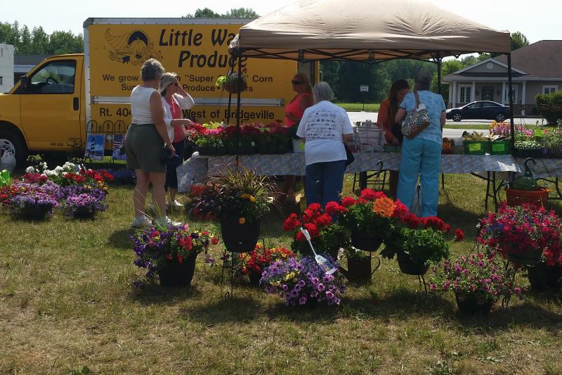 Little Wagon Produce will be on hand at the Georgetown Farmers Market May 25. SOURCE SUBMITTED