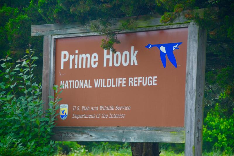 Prime Hook refuge work nears completion Cape Gazette