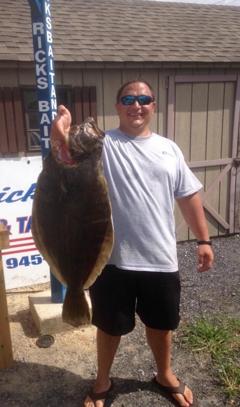flounder pounder lure
