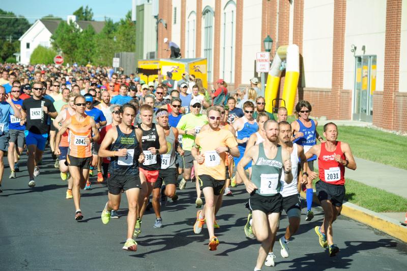 Dogfish dash europski fondovi za sportsbetting