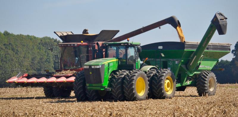 The Sussex County fall corn harvest is back on schedule after a two-week period of heavy rain that flooded many fields and interrupted the harvest. As the top crop in the state, farmers plant more than 178,000 acres of corn each year. Farmers will soon be out harvesting soybeans, the second-leading crop in the state. RON MACARTHUR PHOTO
