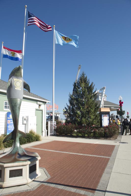 Rehoboth Beach Christmas tree delivered Cape Gazette