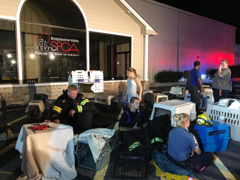 Animal shelter seeks support after fatal crash Cape Gazette