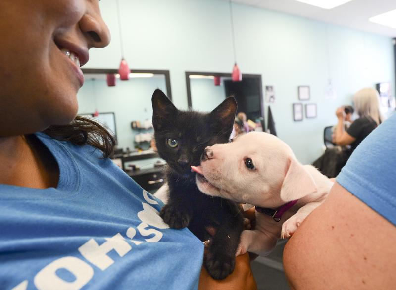 Kohls Cares volunteers were on hand to make a donation and share the love of animals. DENY HOWETH PHOTOS