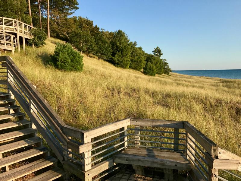 Pines mix with thick, sloping meadows of dune grasses on the shores of Lake Michigan. Healthy pines mix with the grasses, not compromised by salt as is the case with trees stunted in dunes along the Atlantic coast. Out here we’ve seen T-shirts that say No Salt, No Sharks, No Worries. DENNIS FORNEY PHOTO