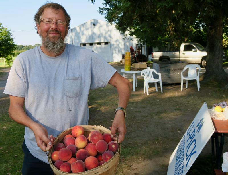 Between Manistee and Arcadia, on a ridge, we came along Mike Bradford’s orchards and roadside stand. He had magnificent peaches - Cresthavens - and equally magnificent pears. He handpicked a perfect peach for me and a pear to go with it. No charge, he said. Enjoy them. They were sweet and juicy. Perfect. I was so focused on the peaches - my favorite - that it didn’t even occur to me until later on that his last name is the same as a popular ornamental tree called Bradford Pear. Don’t know if there is a relationship but his peaches and pears sure were good.