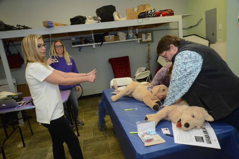 Pet CPR and First Aid class held at Get Your Wag On Cape Gazette