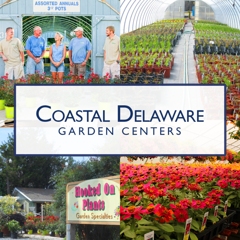 Southern Delaware Boasts A Bevy of Fantastic Locally Owned and Operated