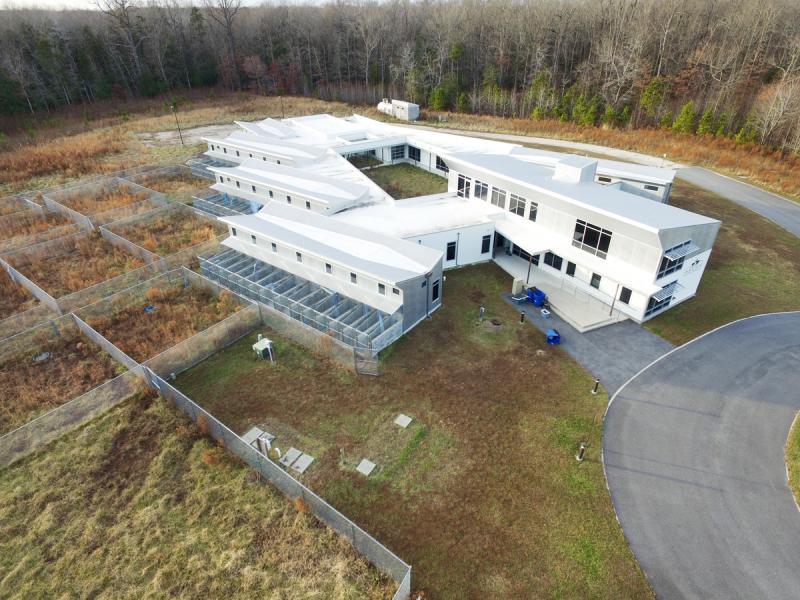 Safe Haven auction set for June 9 Cape Gazette