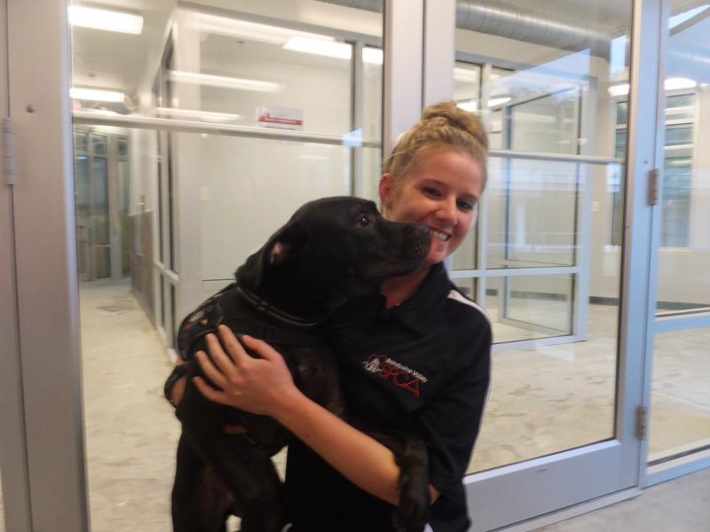 New animal rehab facility to open in 2019 Cape Gazette