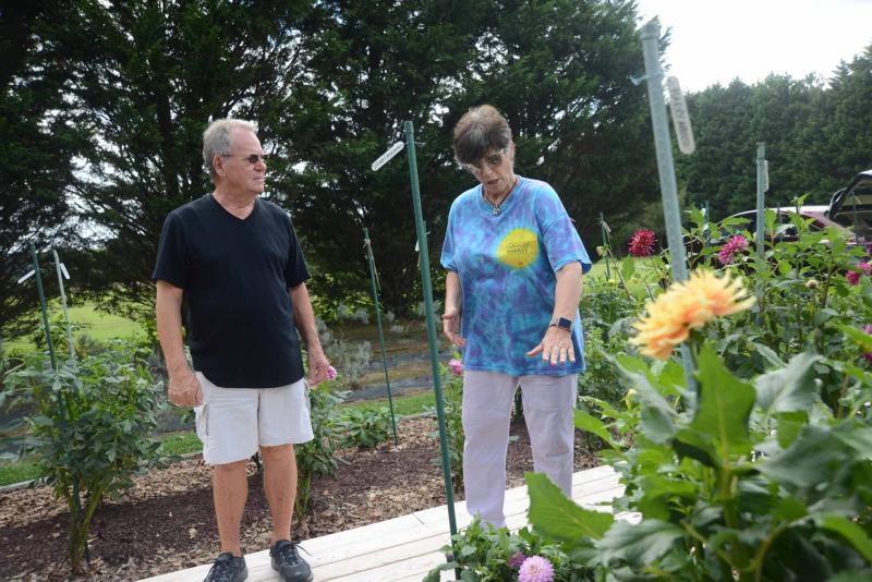Ellen Passman of the National Capital Dahlia Society gives some advice to Richard Reed of Lewes. Autumn Splendor