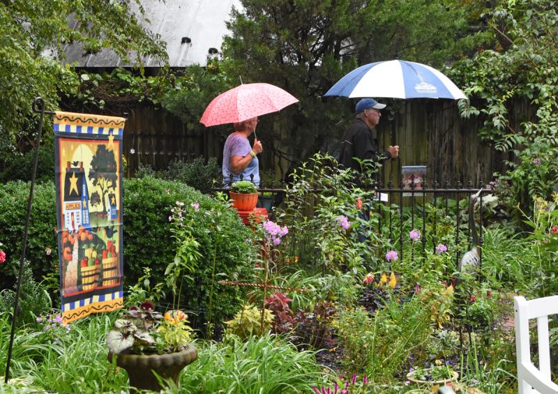 The weather may have been rainy and soggy, but it didn’t stop hundreds of people from walking along Union Street to check out the Milton Fall Garden Tour. NICK ROTH PHOTOS