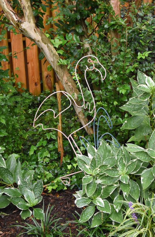 A flamingo sighting at the home of Mark Polo and Norman Cohen.