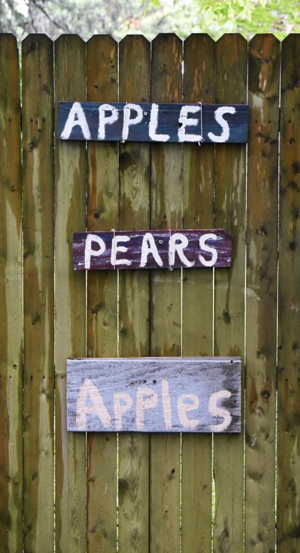 Fresh fruits are always welcome.