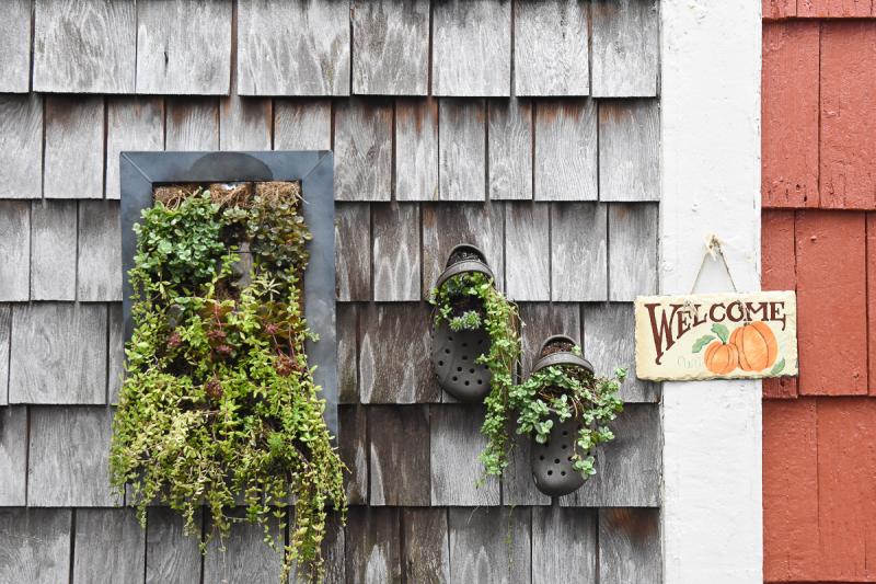 Kathryn Greig’s Croc planters got a lot of attention.
