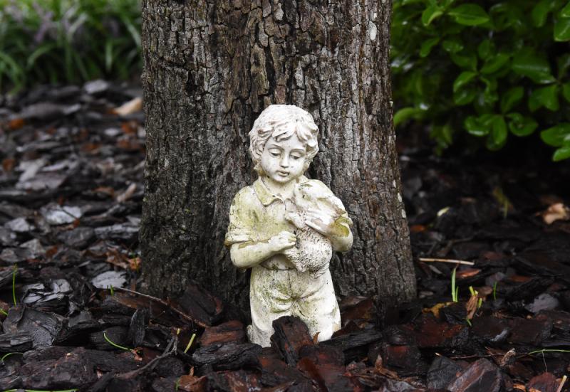 This little guy sticks out on a dark and rainy day.