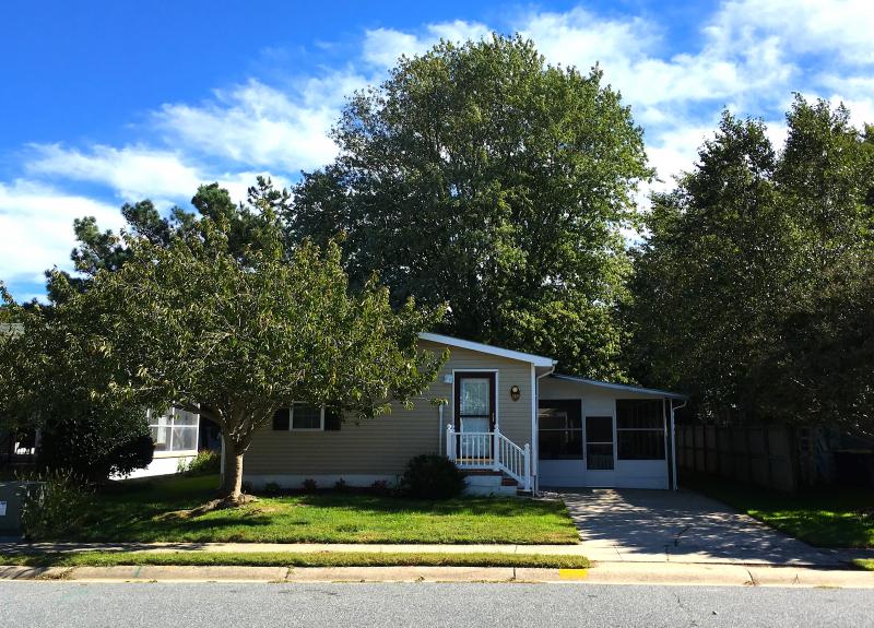 The silver maple in question towers above 318 Country Club Drive. CHRIS FLOOD PHOTO