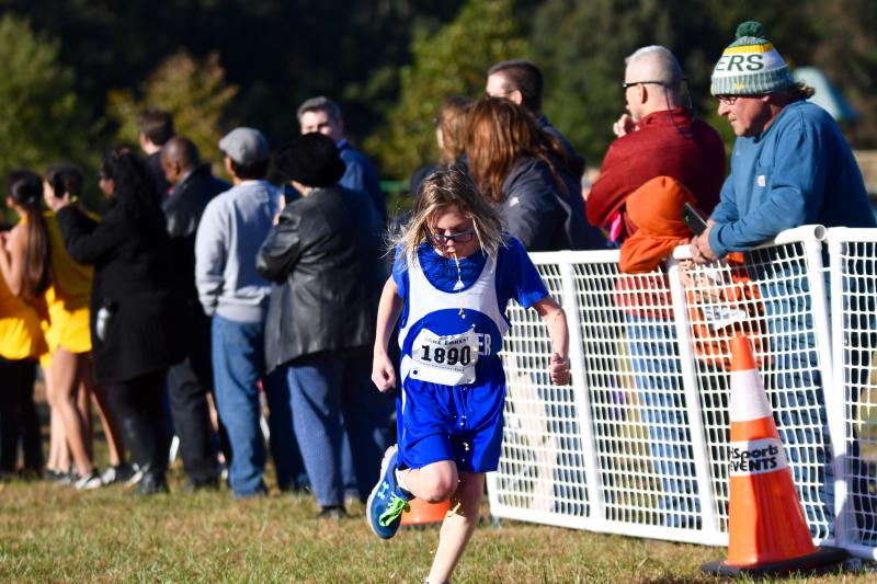 Beacon and Mariner compete at Central Delaware Cross Country