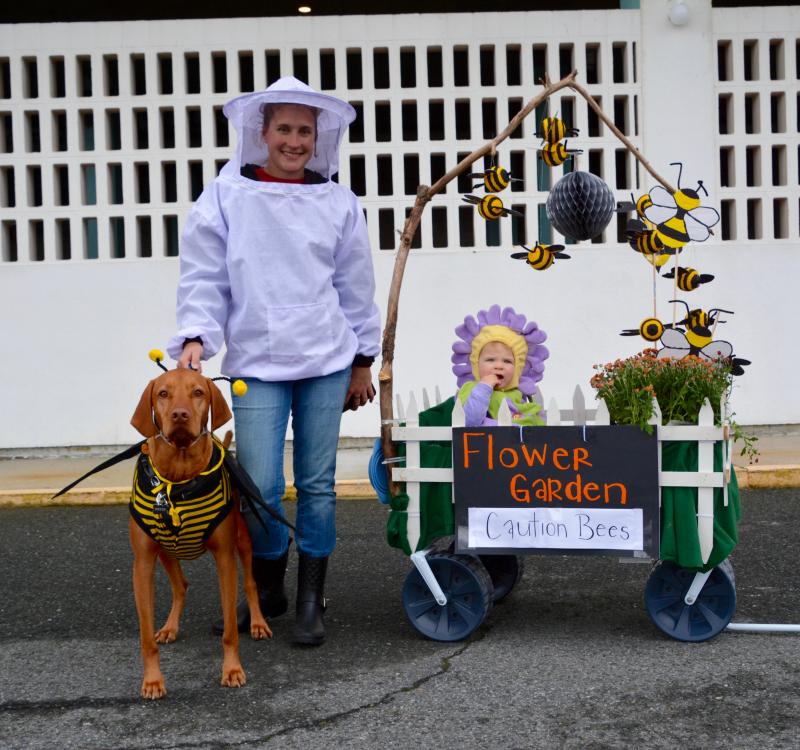 Prize winners Nicole and Savannah Care, in wagon, along with Dozer have a bee theme. The mother and daughter are from Birdsboro, Pa. RON MACARTHUR PHOTO
