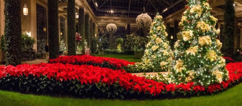 Rehoboth Art League to host Longwood Gardens trip Dec. 4 ...