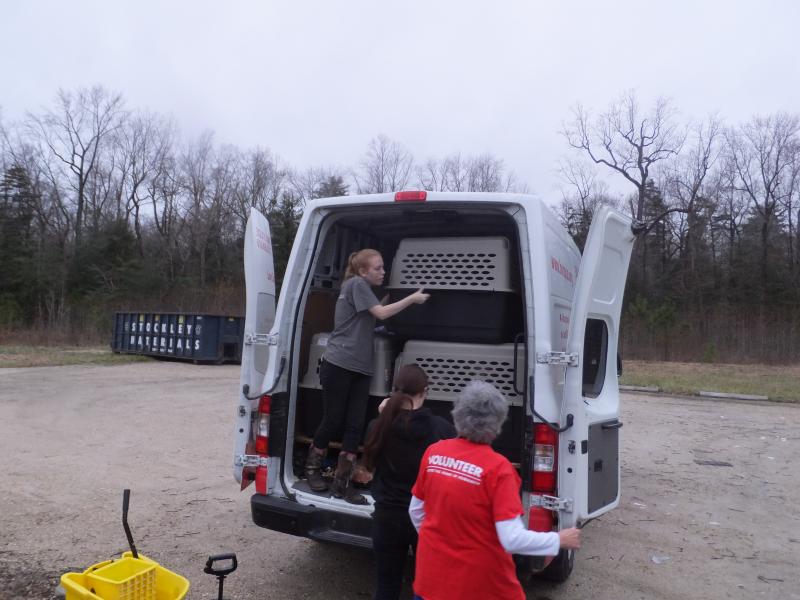 Brandywine Valley SPCA accepts 100 dogs Cape Gazette