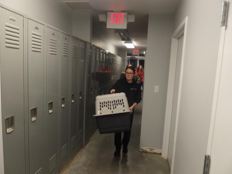 Brandywine Valley SPCA accepts 100 dogs Cape Gazette