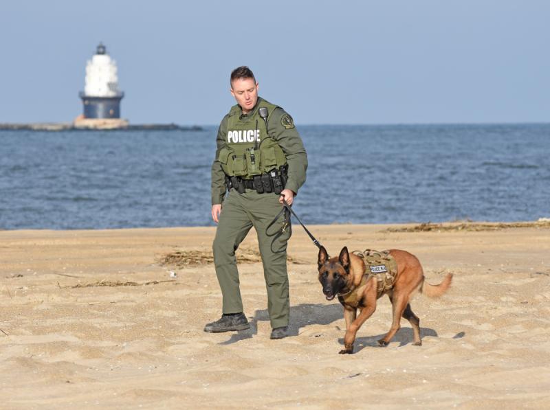K 9 Transport Products Ez Rider Havis