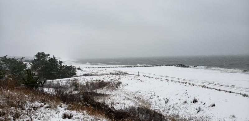 It’s a Cape Henlopen State Park snow day in Tracy Witt’s photo.