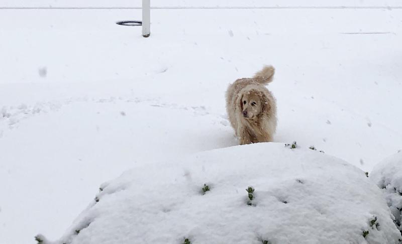 Elizabeth Kirschner sent in this photo of Buoy by the bay in Lewes.