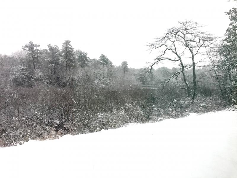 Fran Baron sent us this view from Burton’s Pond.
