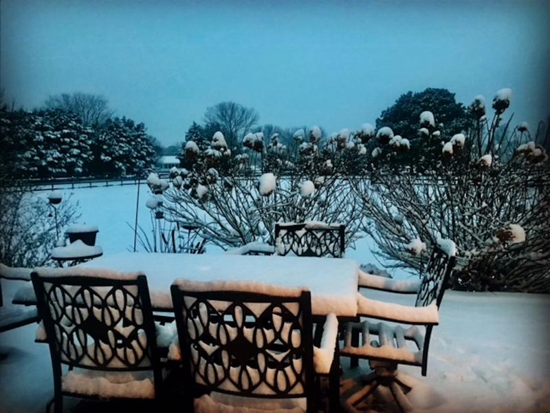 Morning coffee view from Stephanie Faust in Lewes.
