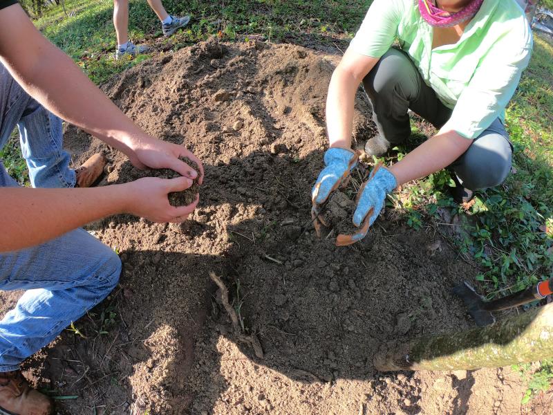 Volunteers plant trees to improve wildlife habitat at the James Farm Ecological Preserve. SUBMITTED PHOTO
