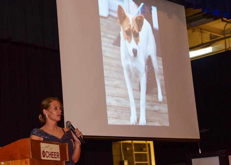 Grass Roots Rescue’s Karli Crenshaw speaks about the 29 canines just rescued from kill shelters in Georgia.