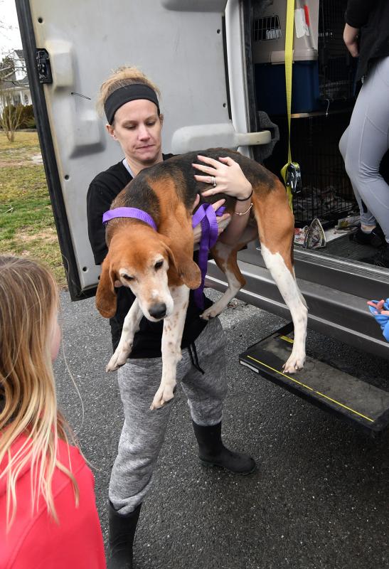 Hunter gets assisted off the bus by Karli Crenshaw.Hunter is available for adoption though Renee’s Rescue in Newark.