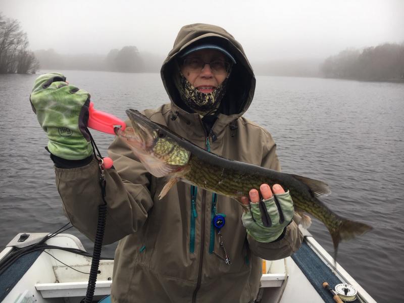 Saltwater Fly Anglers hold pickerel tournament Cape Gazette