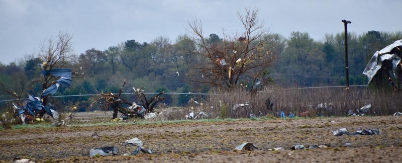 Debris is scatted along a fence and tree line on the east side of Route 13 near Laurel. RON MACARTHUR PHOTO