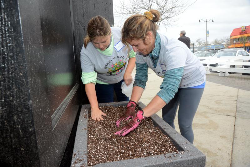 Rehoboth in Bloom lead volunteer Kim Catts, left, and volunteer Drew Zorzi smooth out soil for the flower deliveries in May. Rehoboth in Bloom