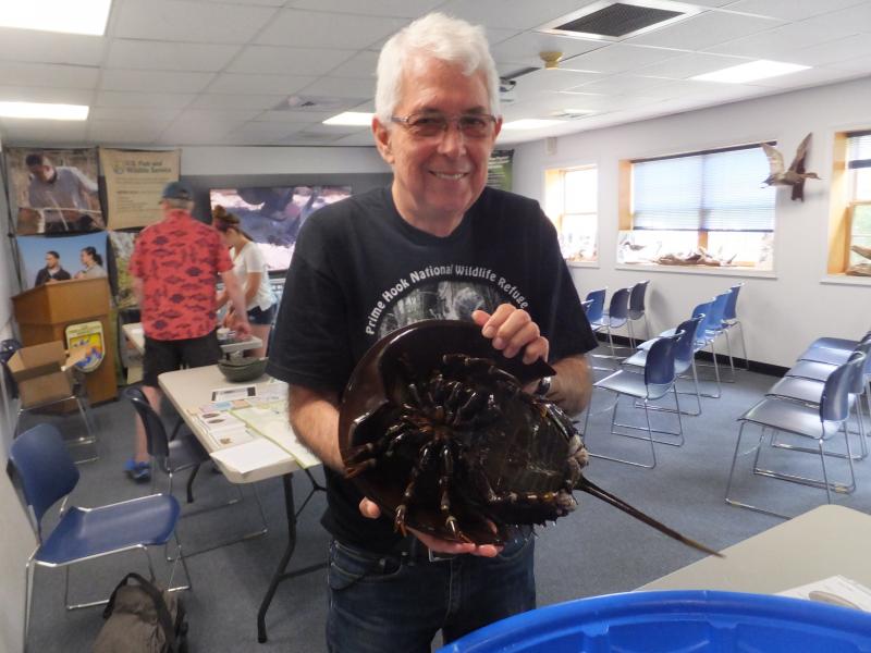 Horseshoe Crab Festival draws a crowd Cape Gazette