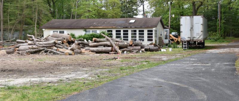 The operator of a flea market along Route 24 near Long Neck has cut down trees in an effort to expand parking on the site. RON MACARTHUR PHOTO